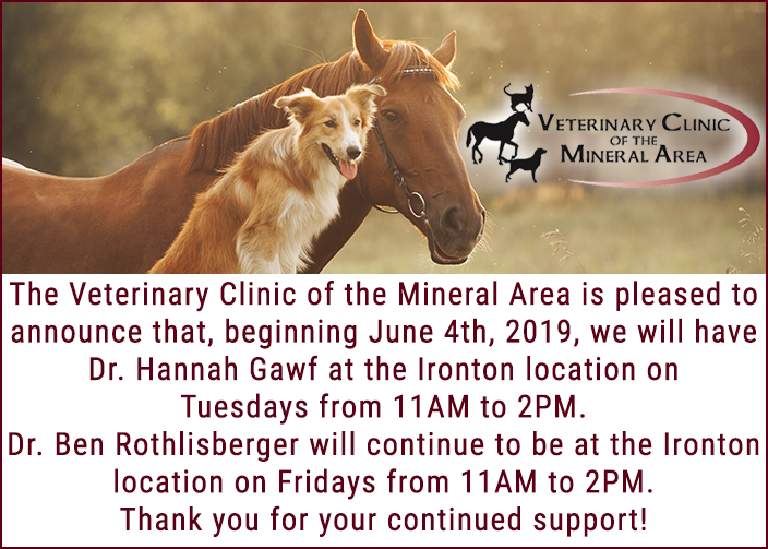 Veterinary Clinic of the Mineral Area | Farmington MO Vet